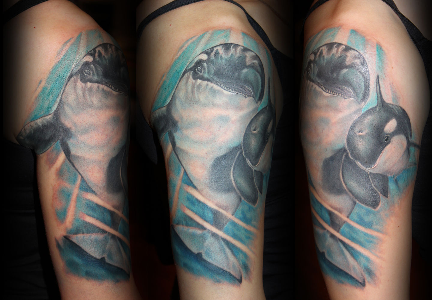 Killerwhale3frame-jpg