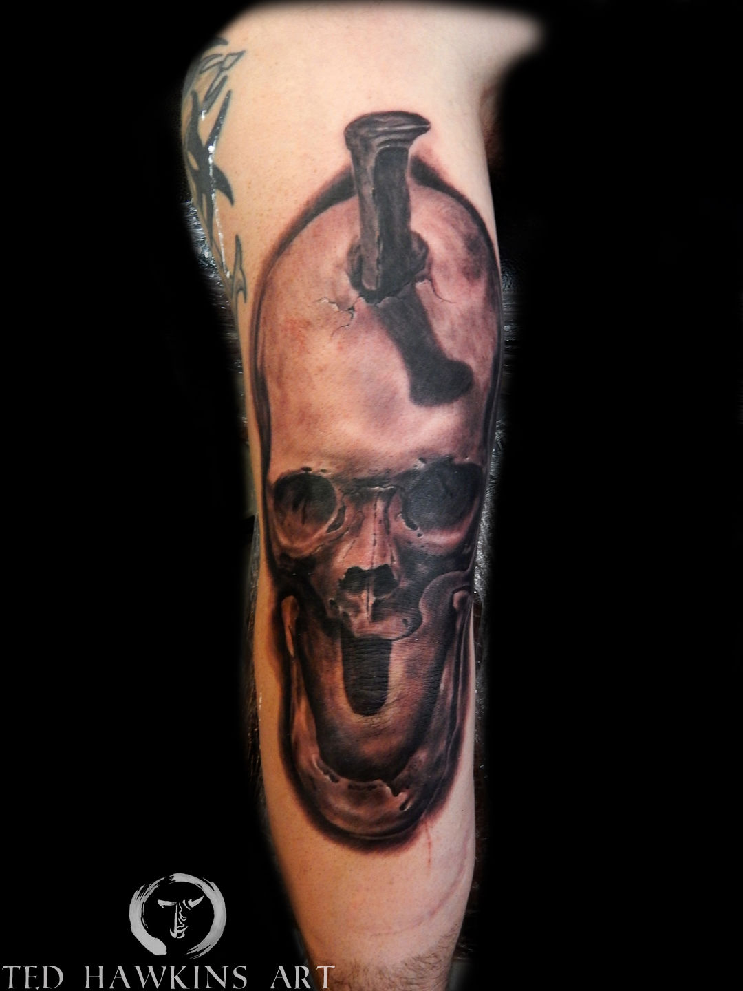 Shawn-pa-skull-border-jpg