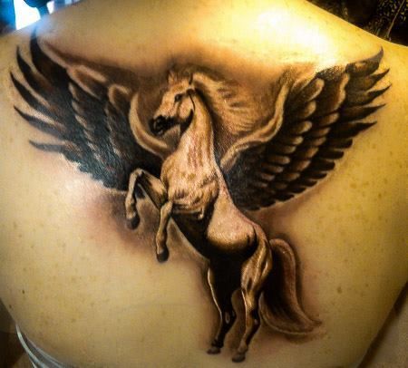 10982447-1011881815506824-201903339084483236-n-jpg