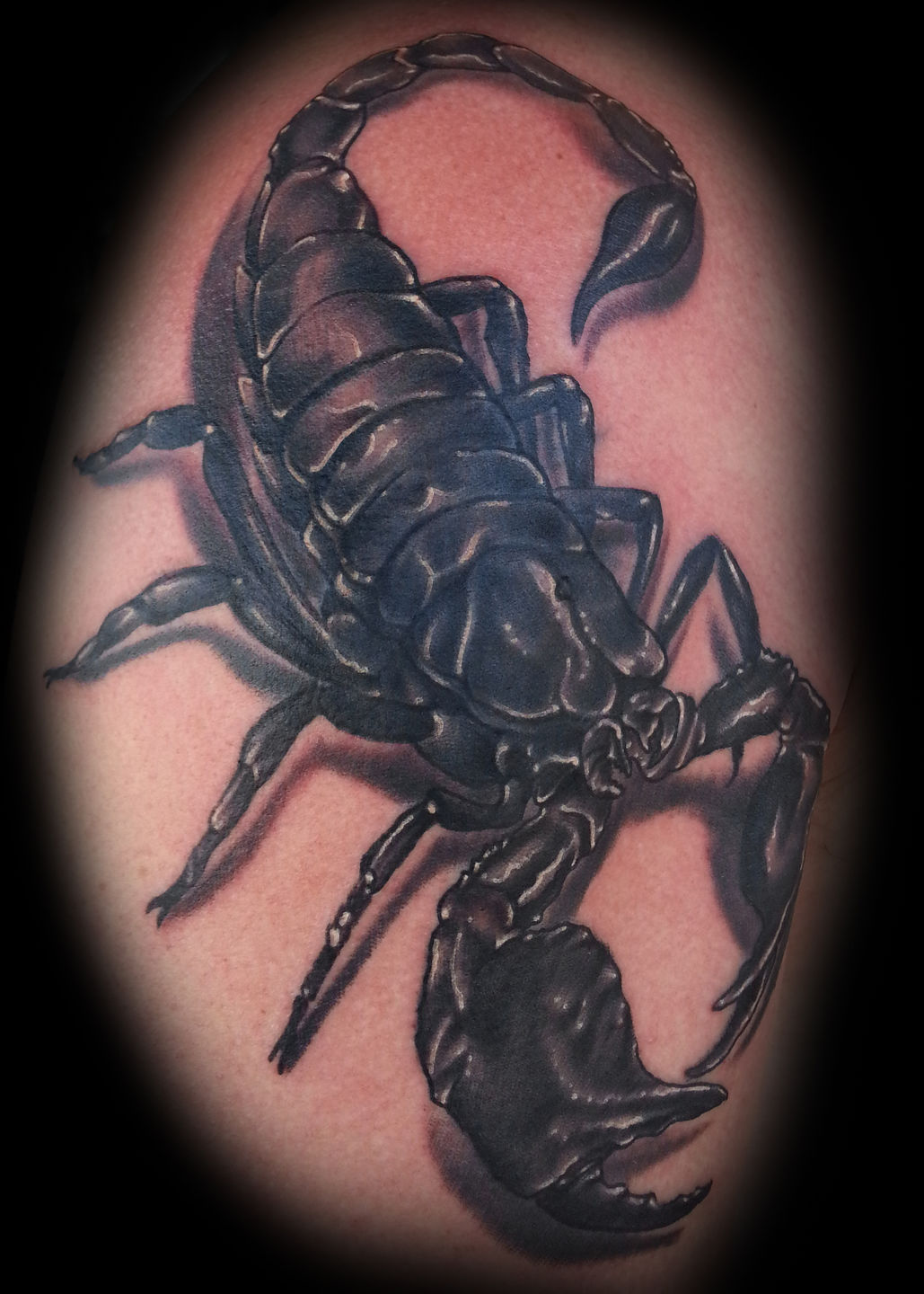 Scorpion-cover-jpg