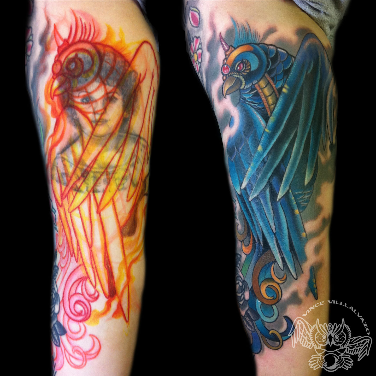 Birdcoveupvinmo-square-jpg