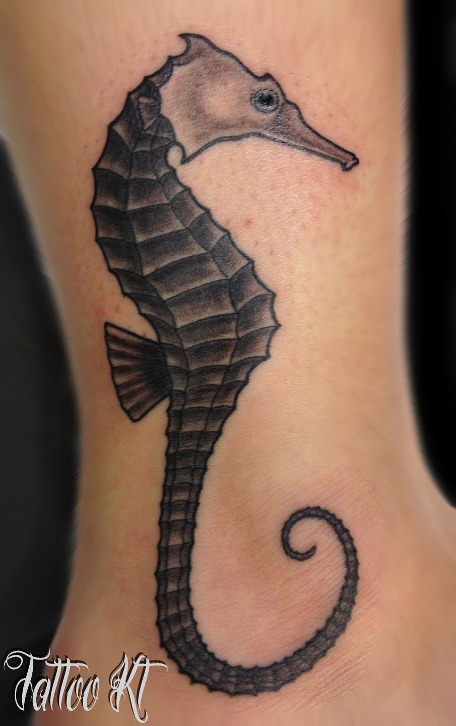 Seahorse-jpg