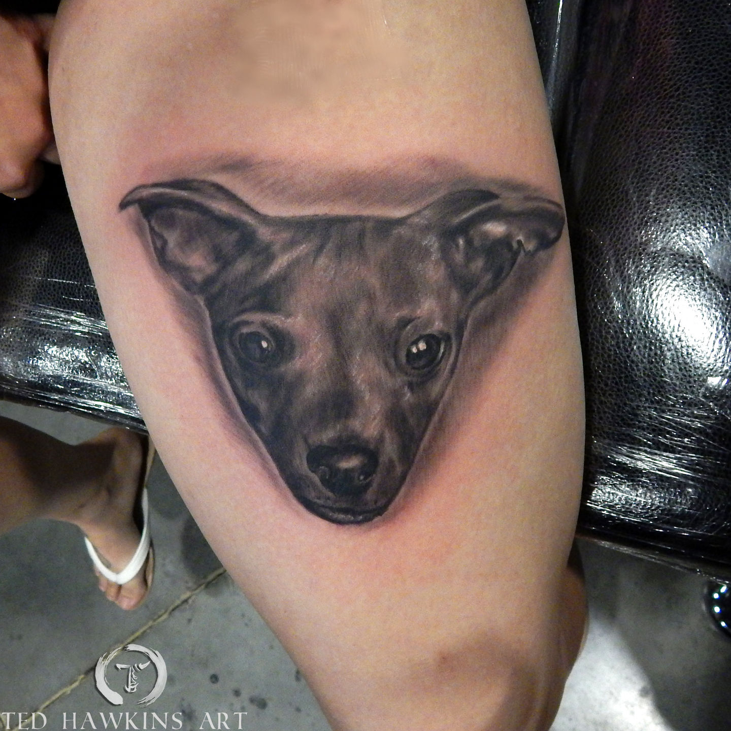 Sara-dog-portrait-jpg