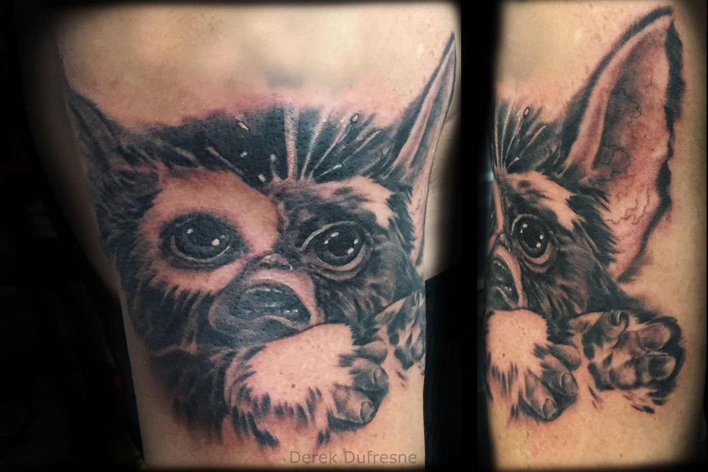 Derek-dufresne-gizmo-jpg