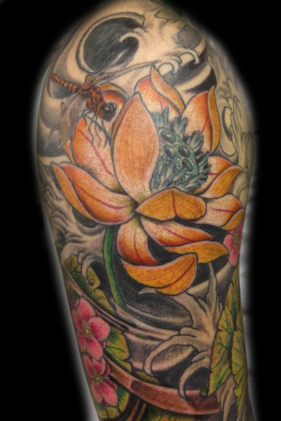 Derek-dufresne-lotus-jpg