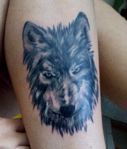 11998926-946386382066689-3911583673466756683-n-jpg