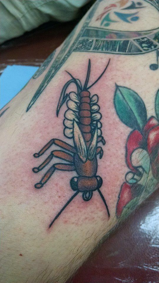 11024207-10153697397424129-1070150824793094672-n-jpg