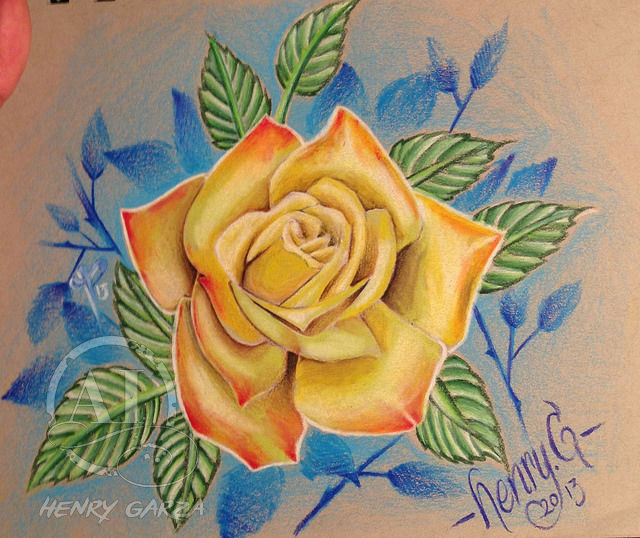 13584717973-2a45940c5e-z-jpg