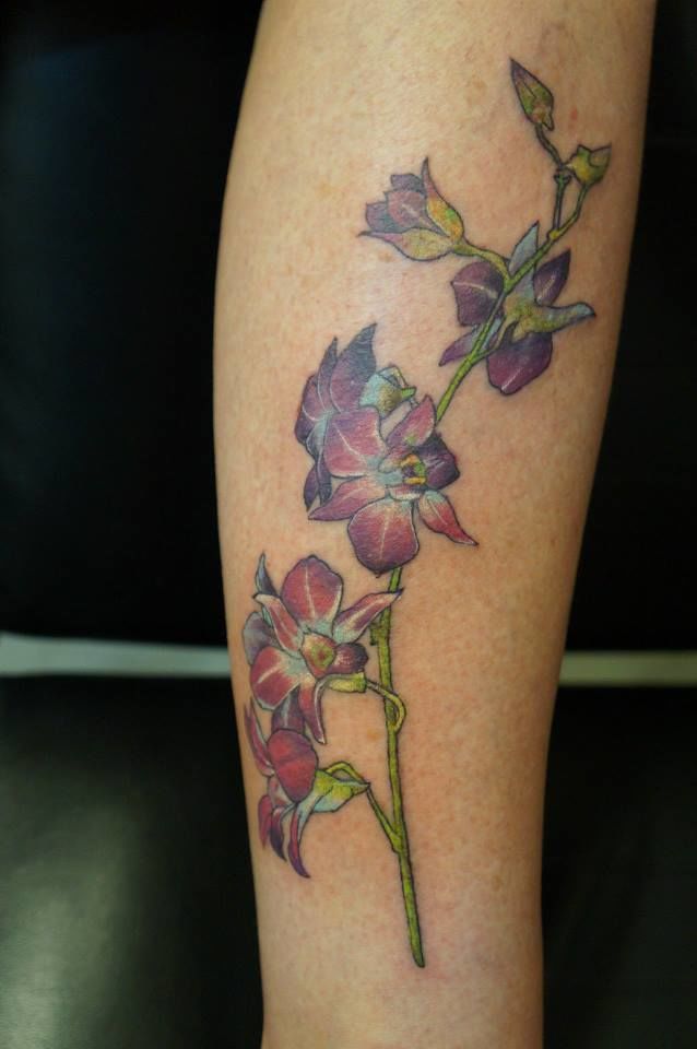 10365757-1497056810578253-3760160297611067305-n-jpg