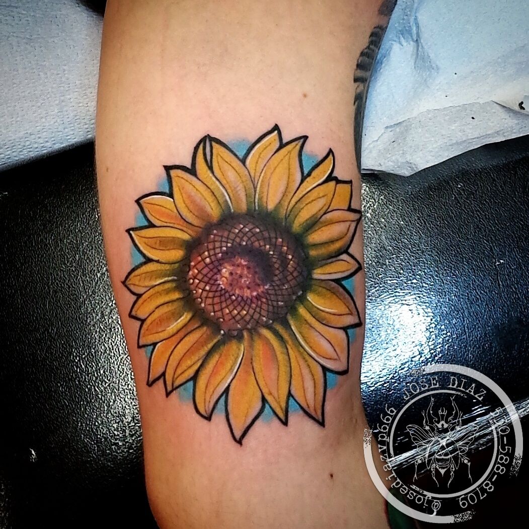 Img-20150823-171234-jpg