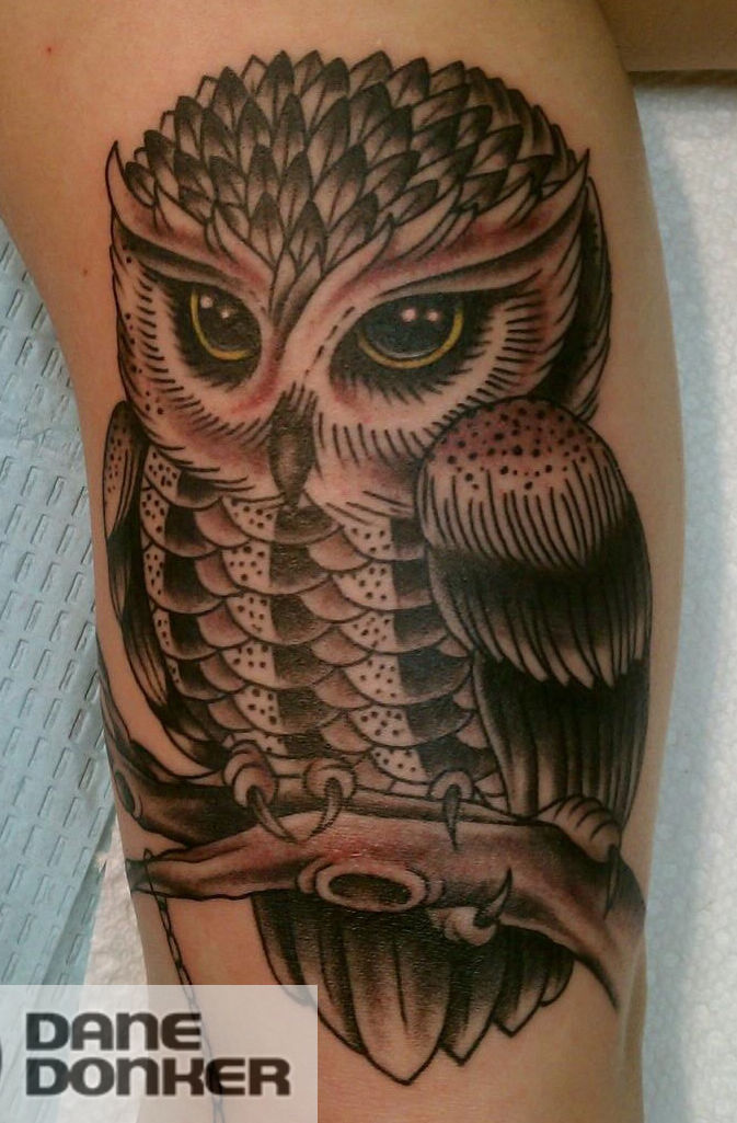 Owl