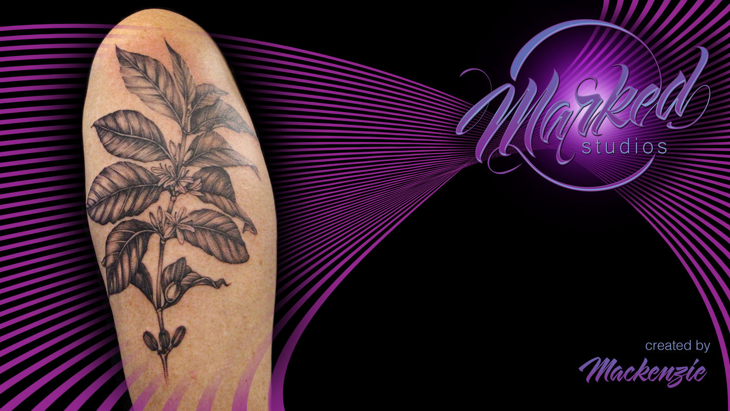 Mackenzie_coffee_bean