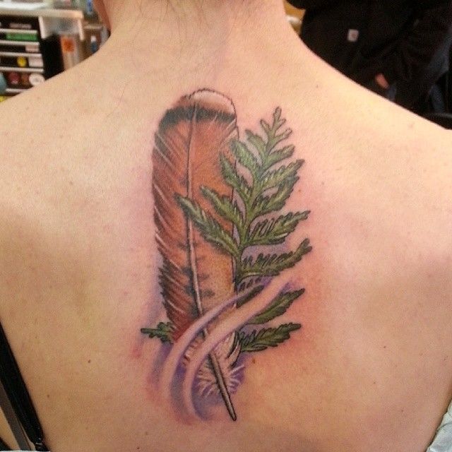 1932329_786561308038223_318788141_n