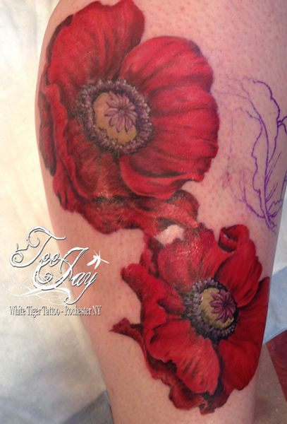 Poppies