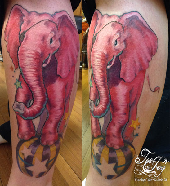 Hetaelephant