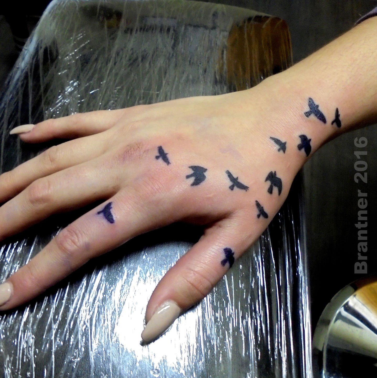 Hand_birds