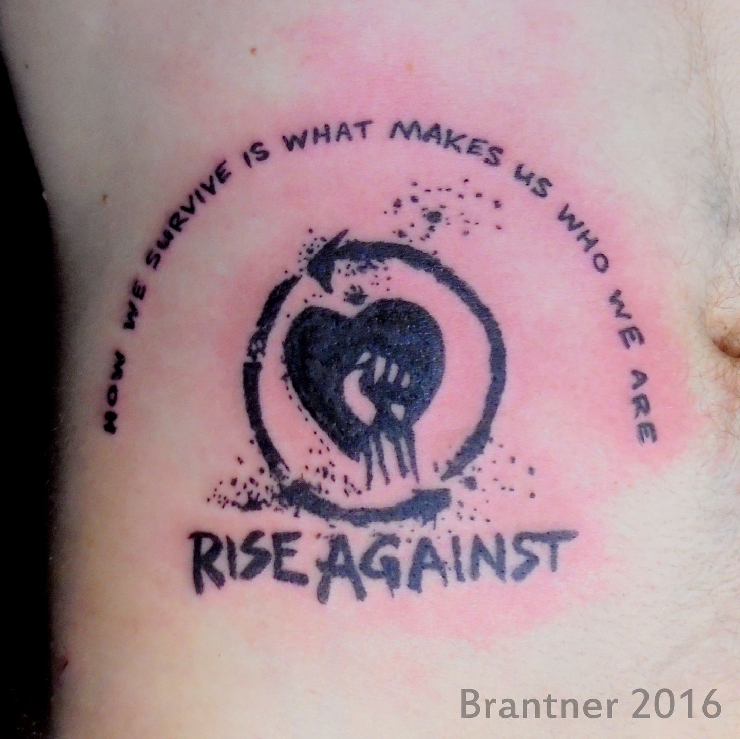 Rise_against