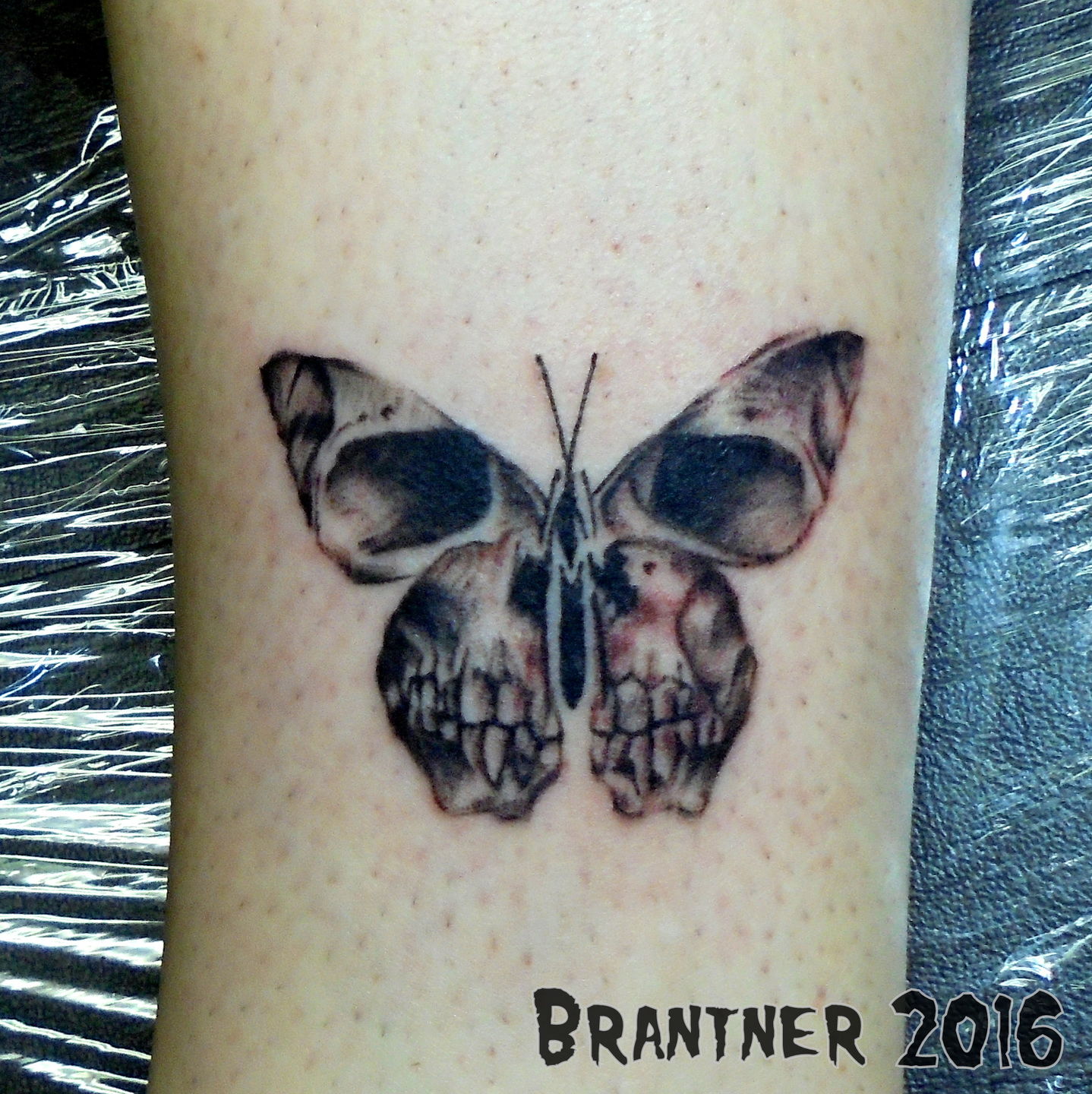 Skull_butterfly