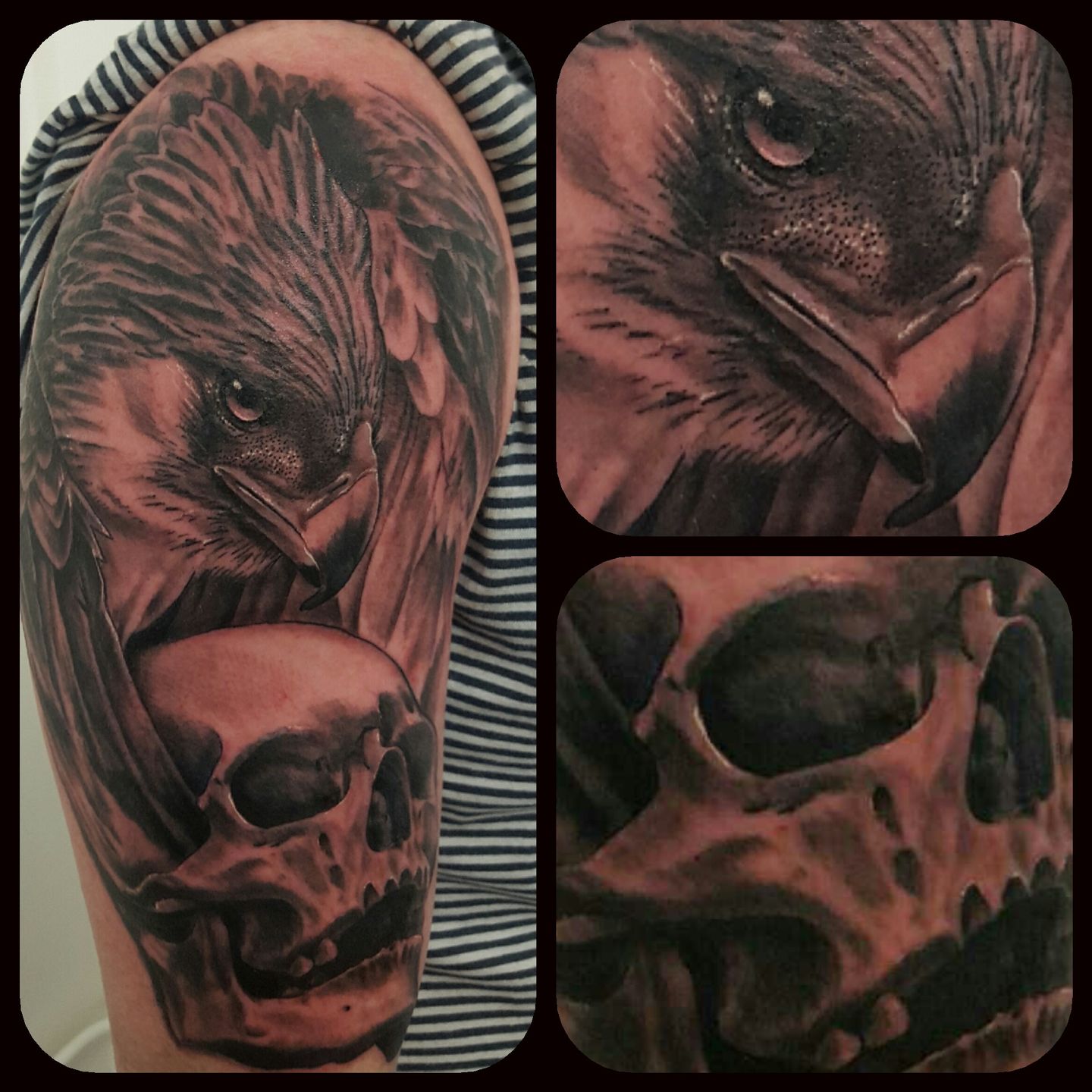 Photo_2016-02-17_06-53-09_pm