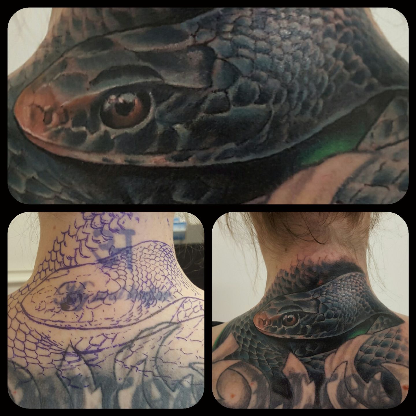 Photo_2016-02-09_06-16-05_pm