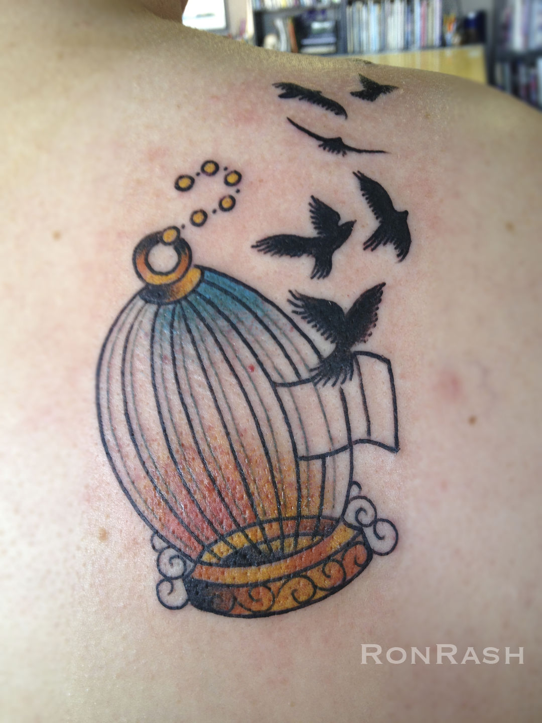 Birdcage