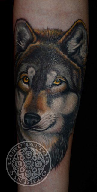 Wolfportrait2-w800h640