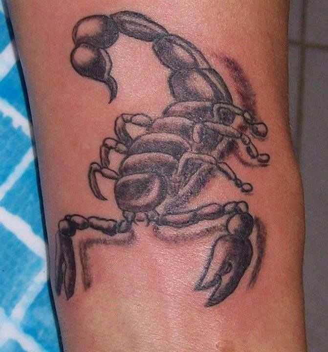 12039379_214645288876002_376319711471315302_n