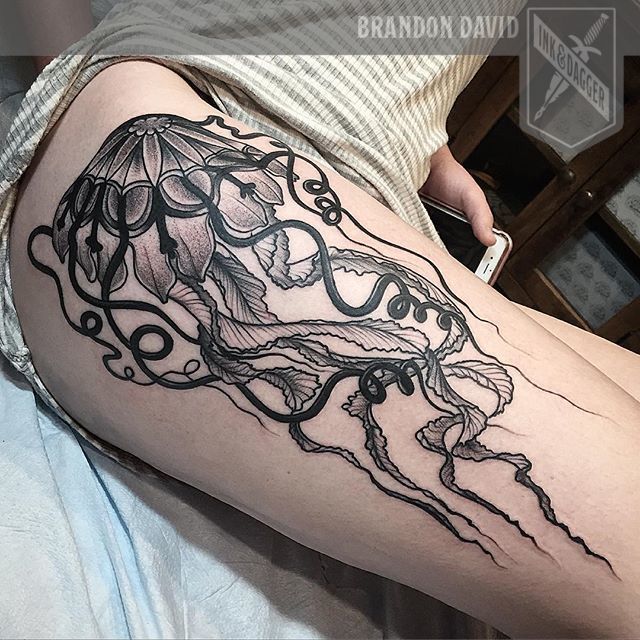 13329047_1746373095581306_1465276322_n