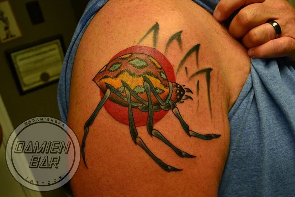 10501728_808496739175171_5049919230311861850_n