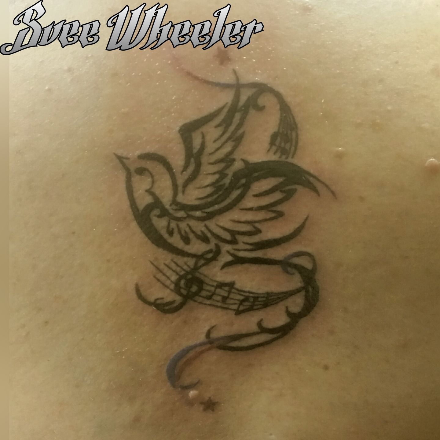 Picsart_06-14-07.24.50