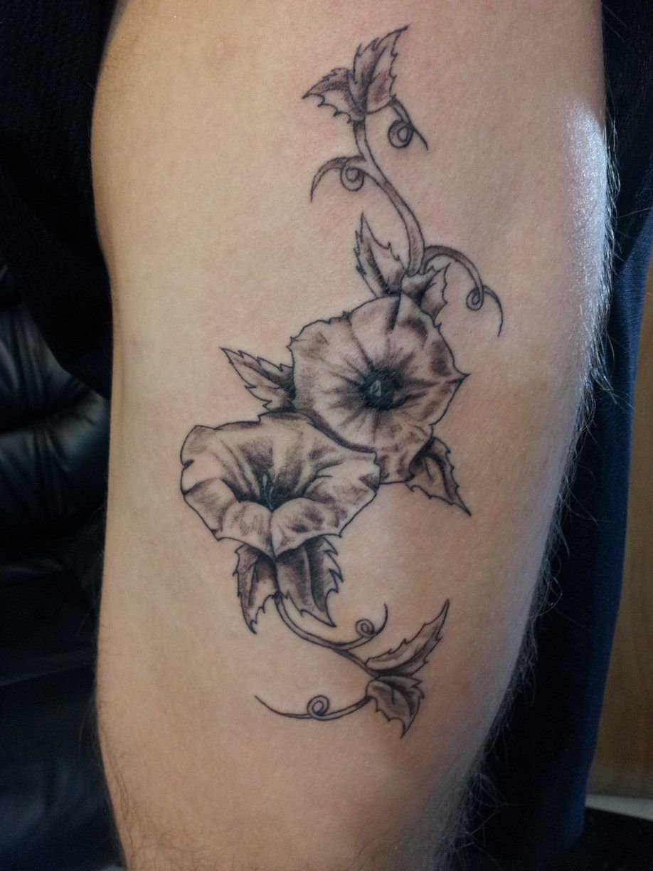 1243242_513234695428249_507642415_o