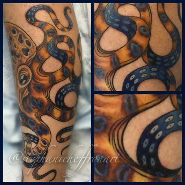 13702937_235024423564000_1645349444_n