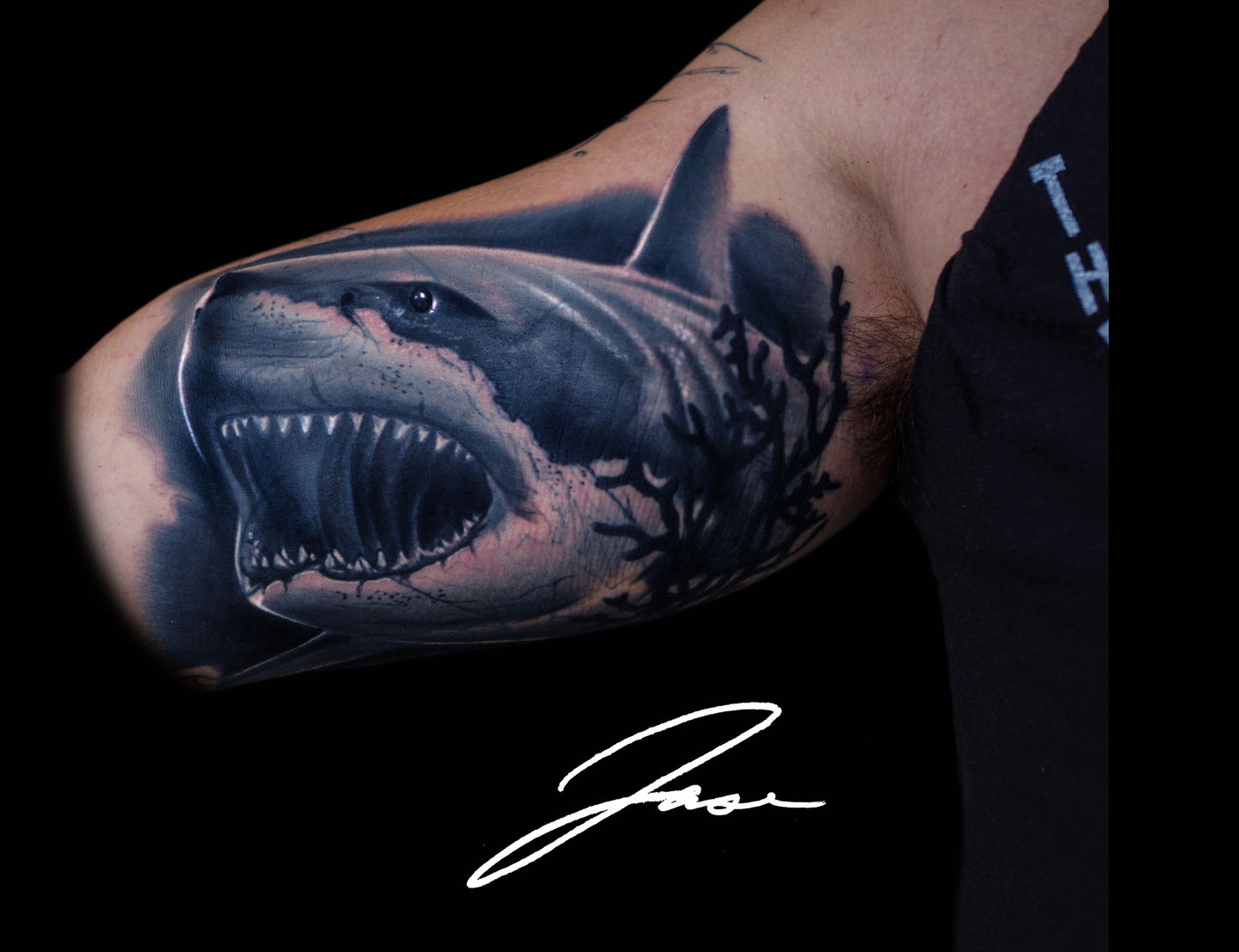 Shark