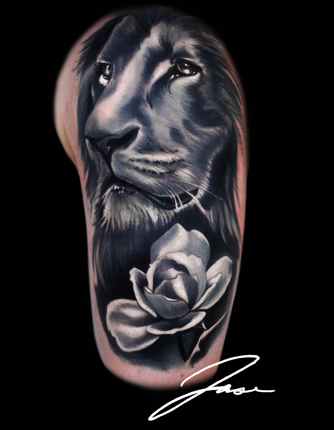 Lion2