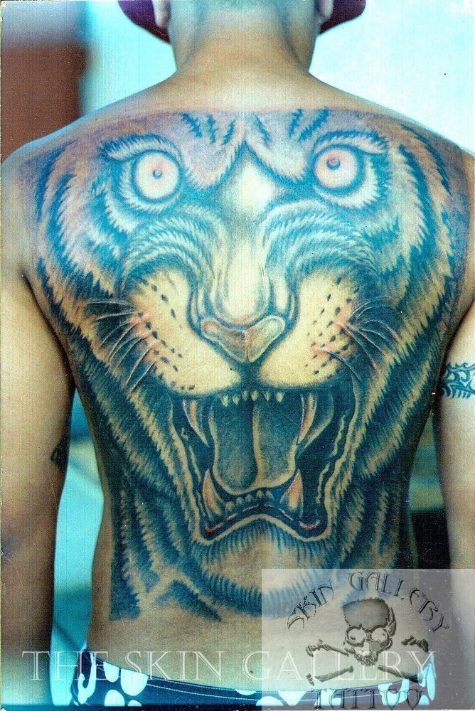 Tiger_full_back