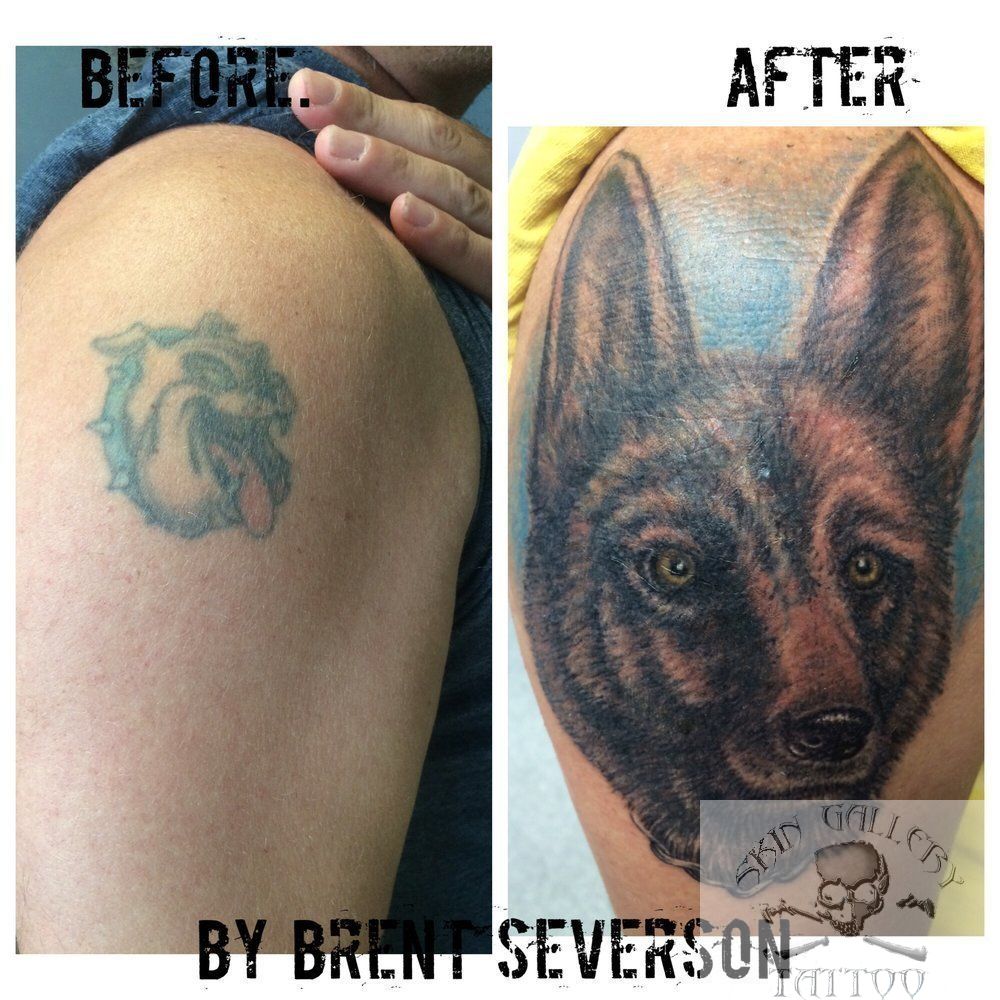 Cover_up_bulldog