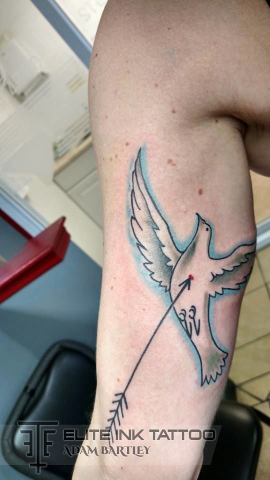 11898868_1006837146015348_2103533750767732344_n