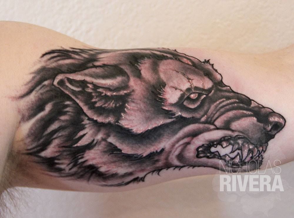 13055071_478236982384718_705319736607451238_o