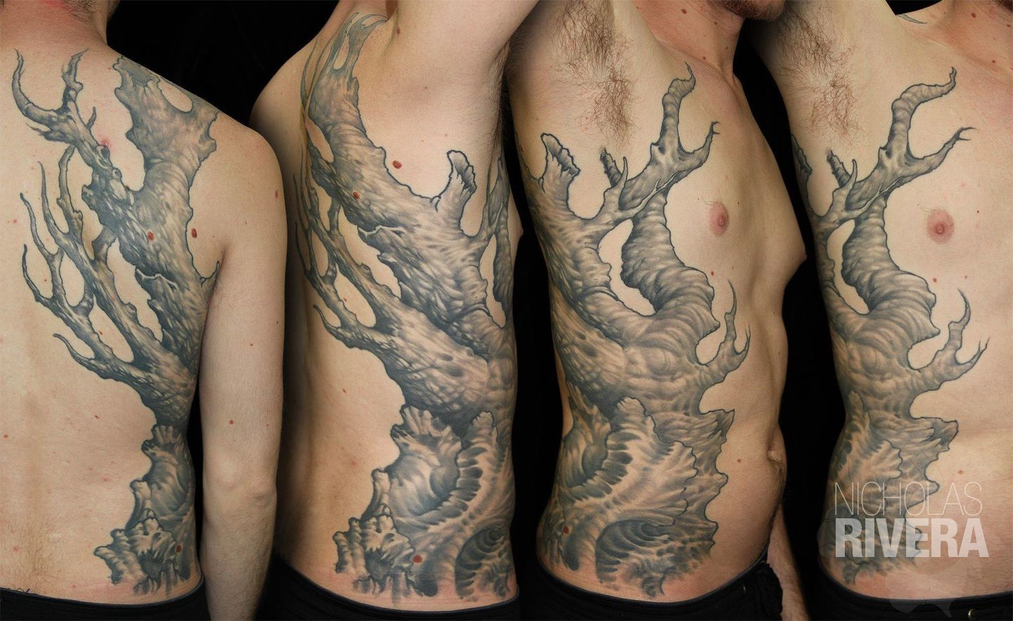 12698245_457043974504019_8805882738257755650_o