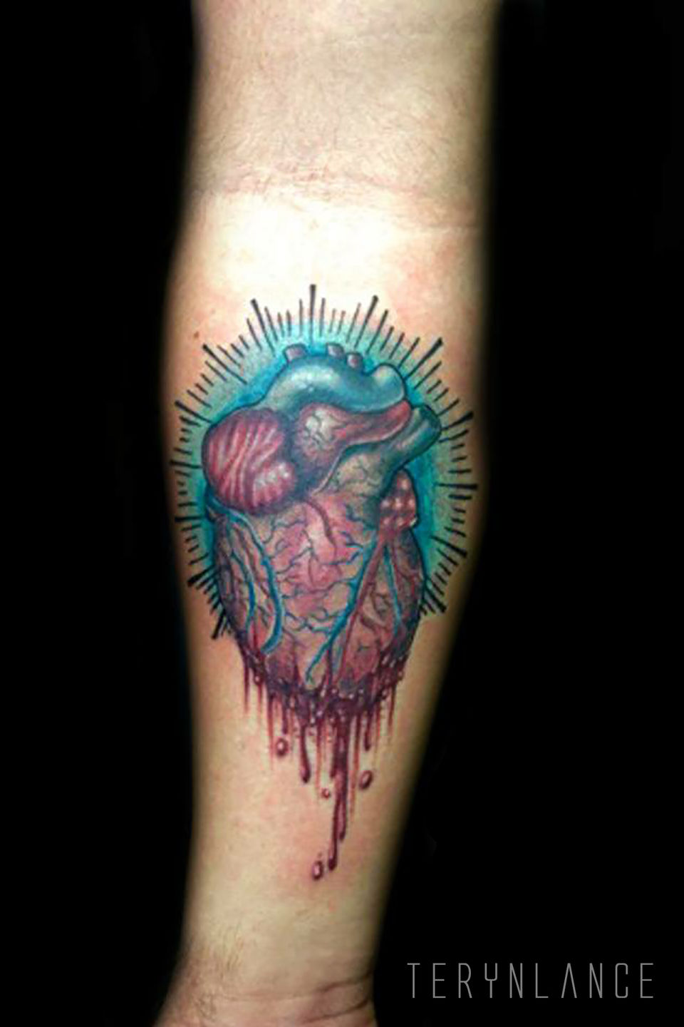 Heartanatomical