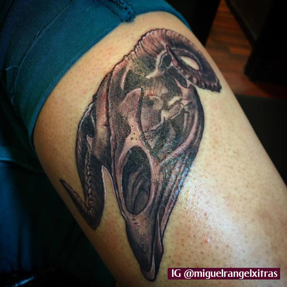 14067497_10208373946918925_1514207860489683978_n_copy