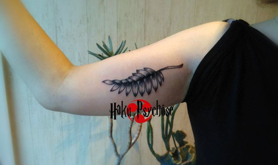 14368677_1171086936317841_3186011901253027154_n