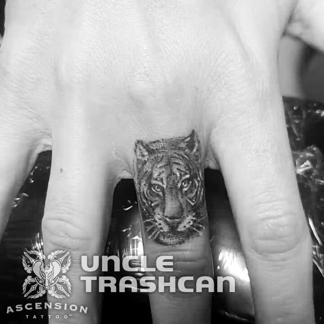 14723090_322528091440020_8953698414797783040_n