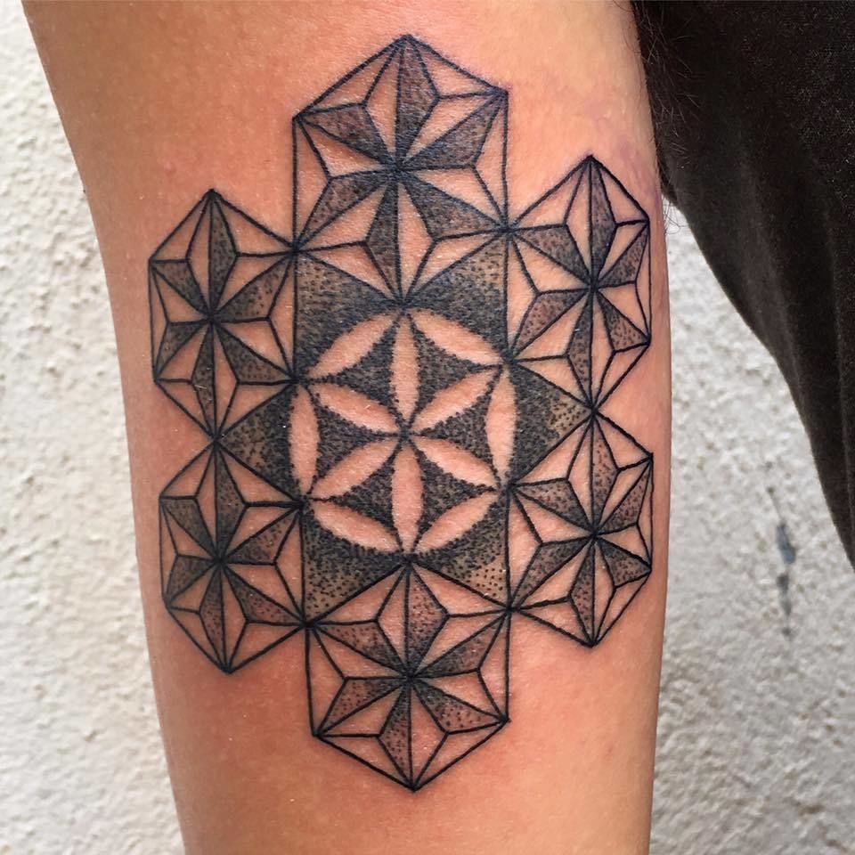 14088696_1066630270079294_1204517058799780390_n