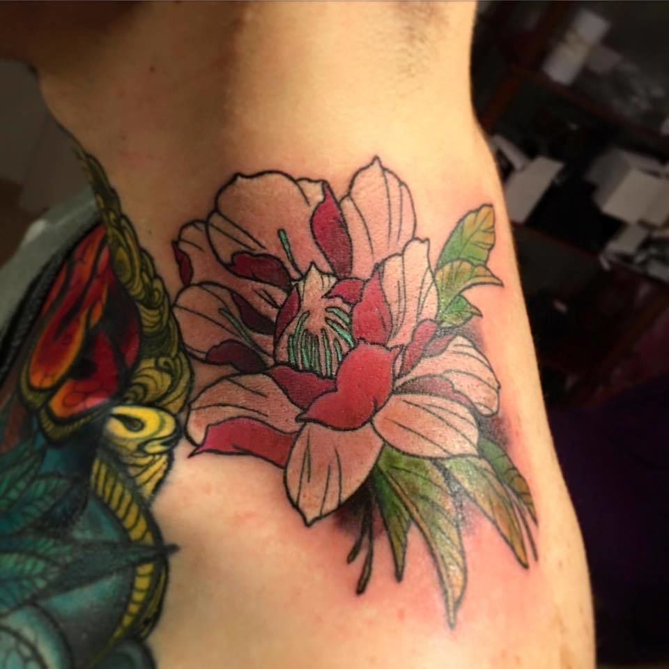 10403260_951358848273104_6304886263626130155_n