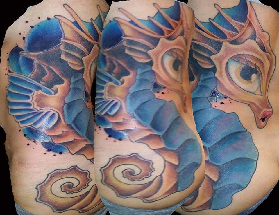 12295255_1526666504312101_5454400209712009288_n