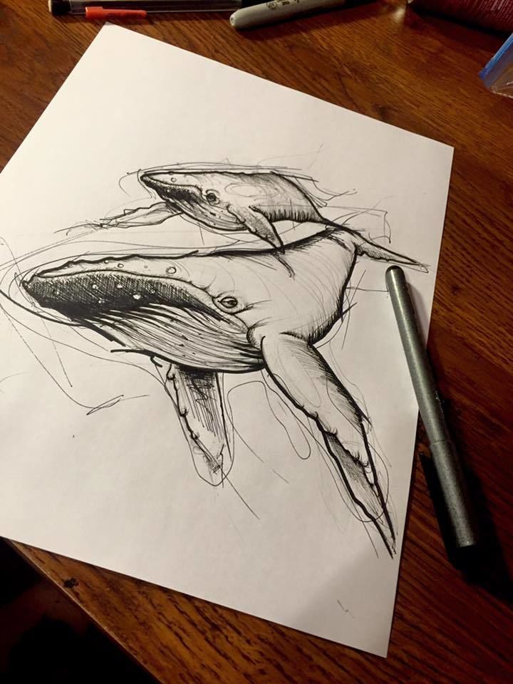 12373171_10153788496818485_798197241085495492_n