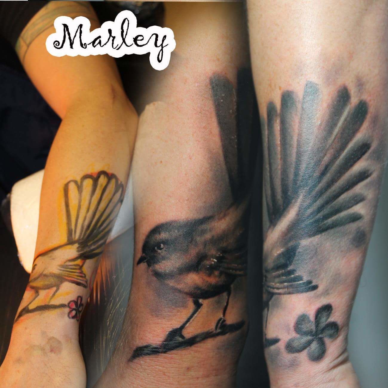 Fb_img_1479946026433