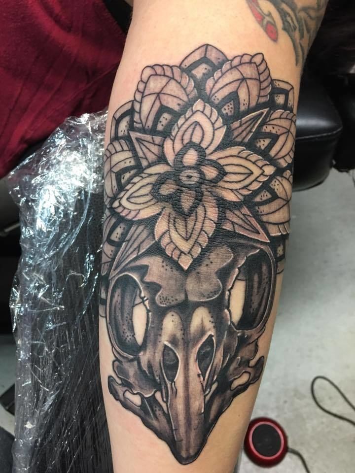 14937404_1076695509113596_5908722885455938085_n