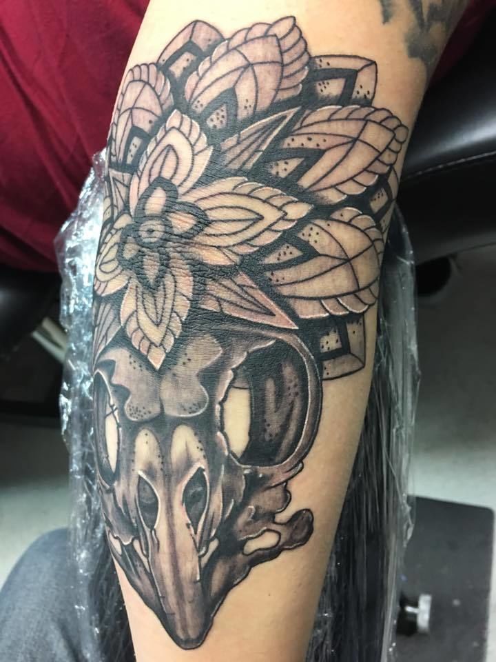 14937373_1076695499113597_463835056084688441_n